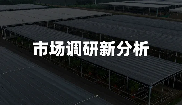 财务风险如何影响市场调研分析报告的准确性